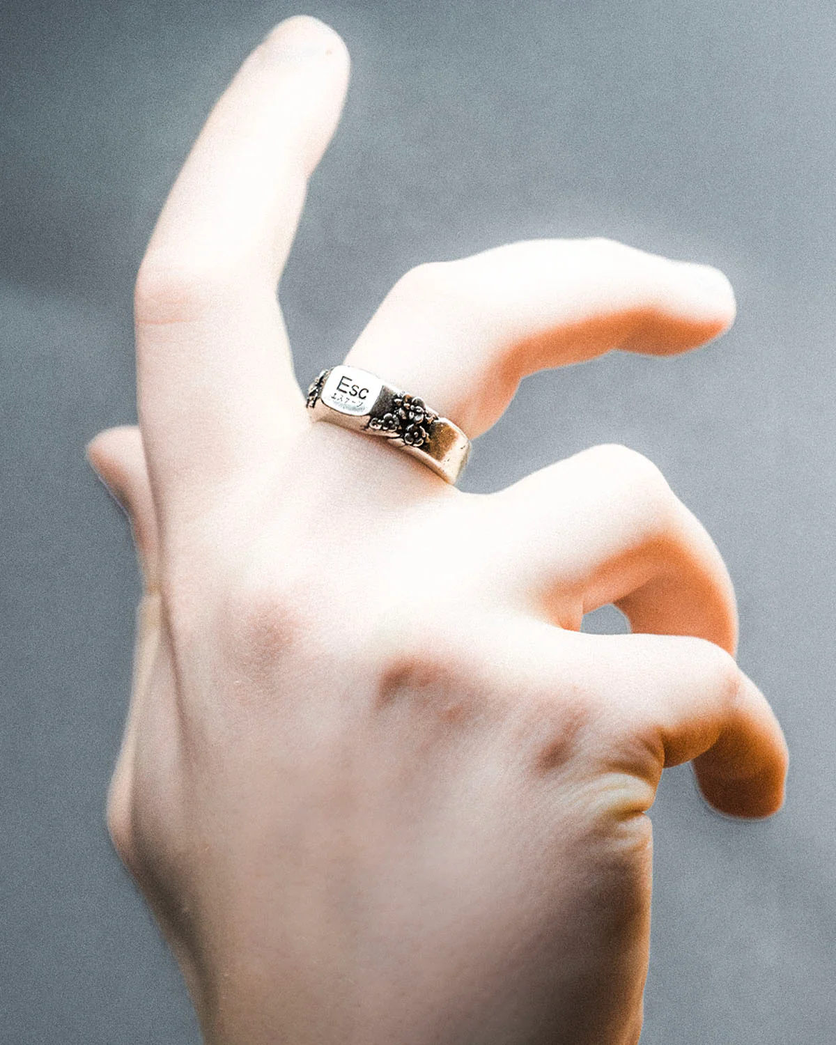 The Escape Ring - Image 3