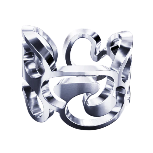 The Liquid Ring - Image 8