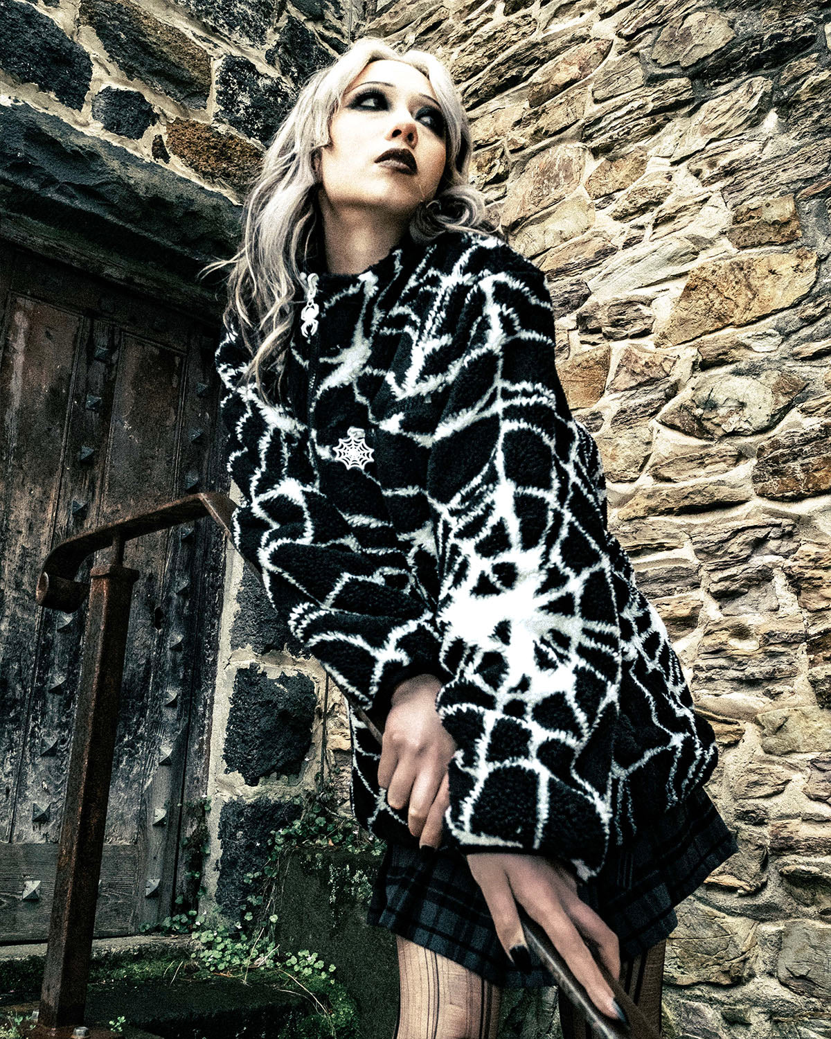 The Spider Sherpa - Image 4
